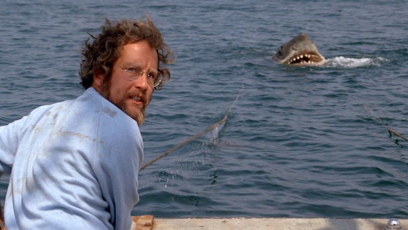 In "Der weiße Hai" versucht der Meeresbiologe Hooper (Richard Dreyfuss) (Bild) zusammen mit Polizeichef Brody (Roy Schneider) und dem Haijäger Quint (Robert Shaw), den Weißen Hai zu töten.