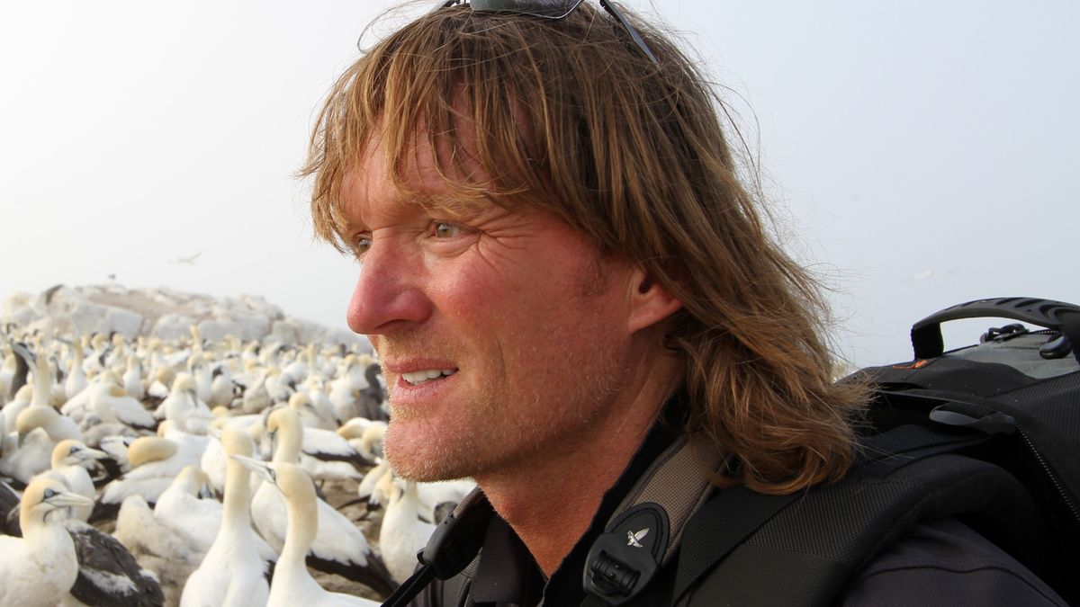 Tierfilmer Andreas Kieling Wikipedia Die Atmung setzte fast komplett aus": Tierfilmer Andreas Kieling spricht über Biss von Schwarzer Mamba - SWYRL, Entertainment-Themen, die dich begeistern.