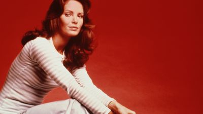 Bild zu Artikel Jaclyn Smith