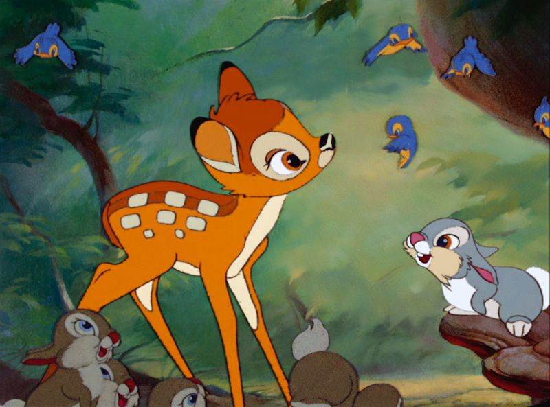 Wie heißt dieser kleine Freund von Bambi? a) Hupfer b) Feline c) Klopfer
