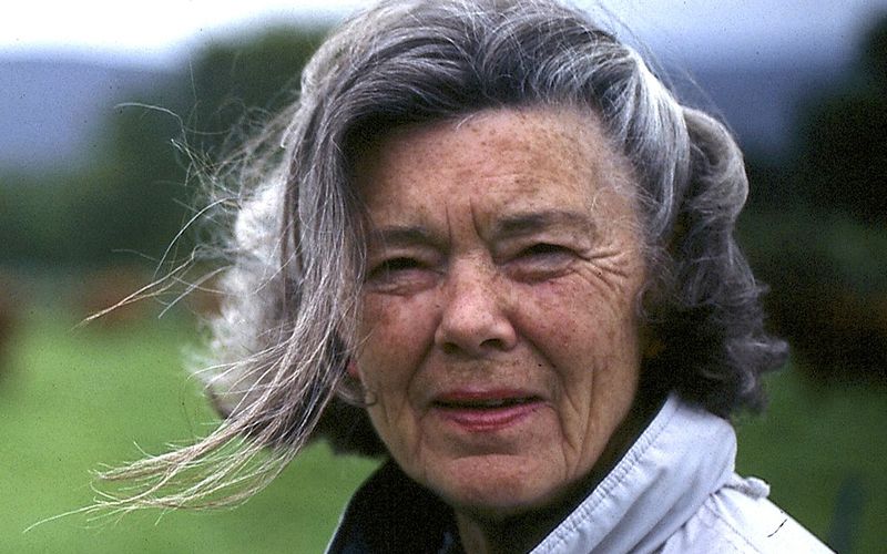Rosamunde Pilcher war eine weltweit erfolgreiche Schriftstellerin und hat Millionen von Büchern verkauft. Auf ihren Geschichten basiert eine ZDF-"Herzkino"-Reihe, die sich nun bereits seit stolzen 30 Jahren im deutschen TV hält. Daher zeigt das ZDF "Rosamunde Pilcher: Liebe ist die beste Therapie" nach der Kurzgeschichte "The Piper of Onde".
