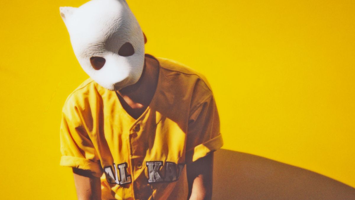 swyrl nicht ohne meine maske diese musiker verstecken ihre identitat