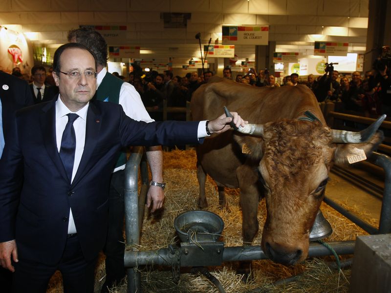 Dieses Foto sieht allerdings eher nach Wahlkampfpflichttermin als nach Tierliebe aus: Der ehemalige französische Präsident Francois Hollande haben den Stier oder besser gesagt die Kuh bei den Hörnern gepackt - kämpferischer Blick inklusive.