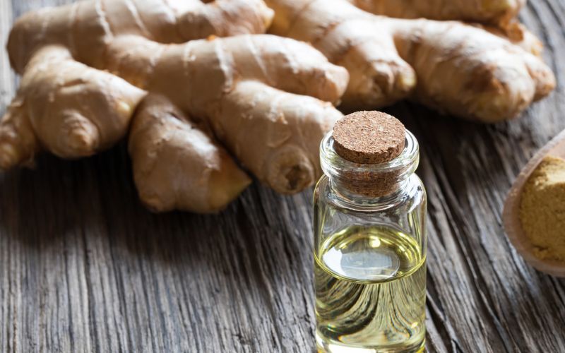 Was genau ist Ingwer eigentlich? Hauptsächlich enthält die Knolle ätherische Öle wie Zingiberol und Zingiberen sowie Harzsäuren und Gingerol. Außerdem wirken die Stoffe Borneol und Cineol magenschützend, verdauungsfördernd und kreislaufanregend. Shogaol wirkt gegen Brechreiz. Ingwer enthält außerdem Vitamin C und die Spurenelemente Eisen, Calcium, Phosphor, Kalium und Natrium.