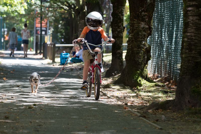 Mit seinem Hund Daisy und seinem Astronautenhelm entdeckt Auggie (Jacob Tremblay) die Welt.