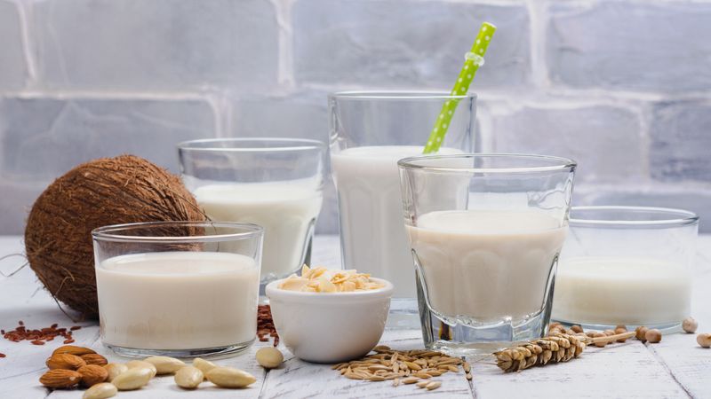 Kuhmilch-Alternativen