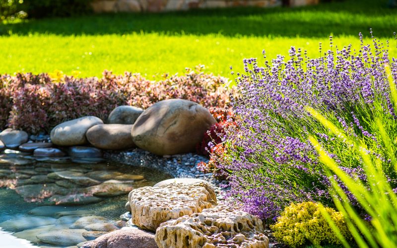 Sie müssen keinen grünen Daumen haben, um einen grünen und blühenden Garten genießen zu können. Keine Sorge, es gibt viele Pflanzenarten, die sich fast von alleine pflegen und Ihr fehlendes Talent für Gartenarbeit verzeihen. Wir zeigen Ihnen eine Auswahl an pflegeleichten Pflanzen für Garten und Balkon ...