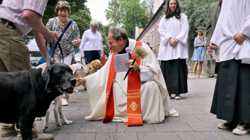 Rainer Maria Schießler, katholischer Pfarrer in München, fällt immer wieder durch unkonventionelle Aktionen auf - etwa dann, wenn er Haustiere segnet.