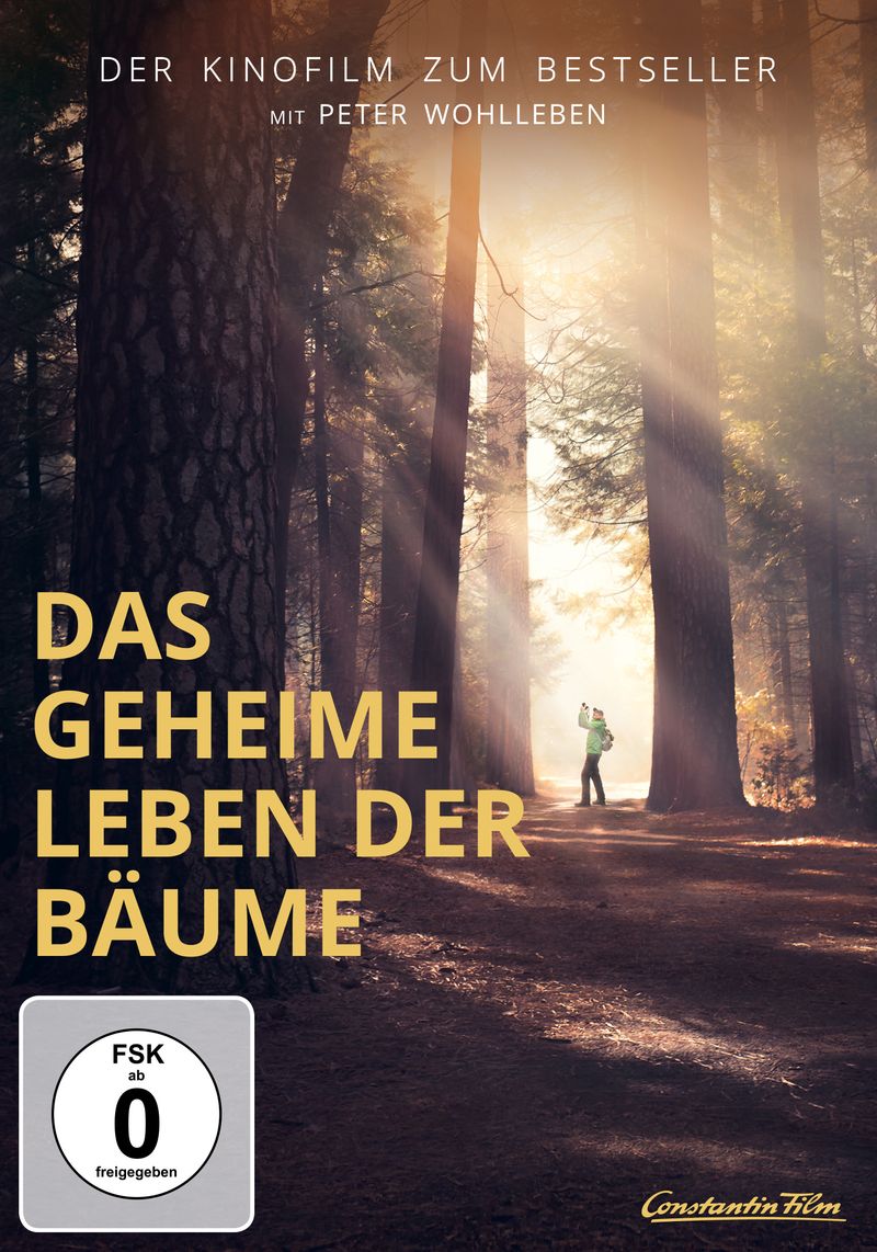 Durch das Buch "Das geheime Leben der Bäume" wurde Peter Wohlleben zum wohl bekanntesten Förster Deutschlands. Jetzt wurde der Bestseller als Dokumentarfilm adaptiert.