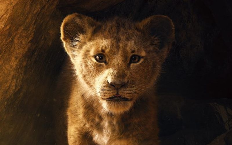 Die Realverfilmung von "Der König der Löwen" war für Disney ein globaler Erfolg. Eine Fortsetzung ist bereits in Planung.