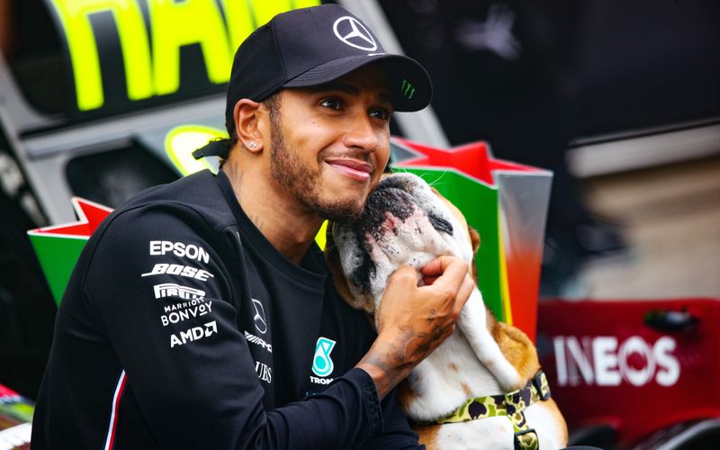 Er liebt Tiere - und nicht nur seinen Hund Roscoe: Formel-1-Weltmeister Lewis Hamilton ist überzeugter Veganer. Vor gut drei Jahren stellte er seine Ernährung um und isst seitdem keine tierischen Produkte mehr. Kein Wunder, dass die Tierrechtsorganisation PETA ihn 2018 zur Persönlichkeit des Jahres erklärte. Anlässlich des Welt-Vegan-Tages am 1. November zeigen wir Ihnen weitere überzeugte Promi-Veganer.