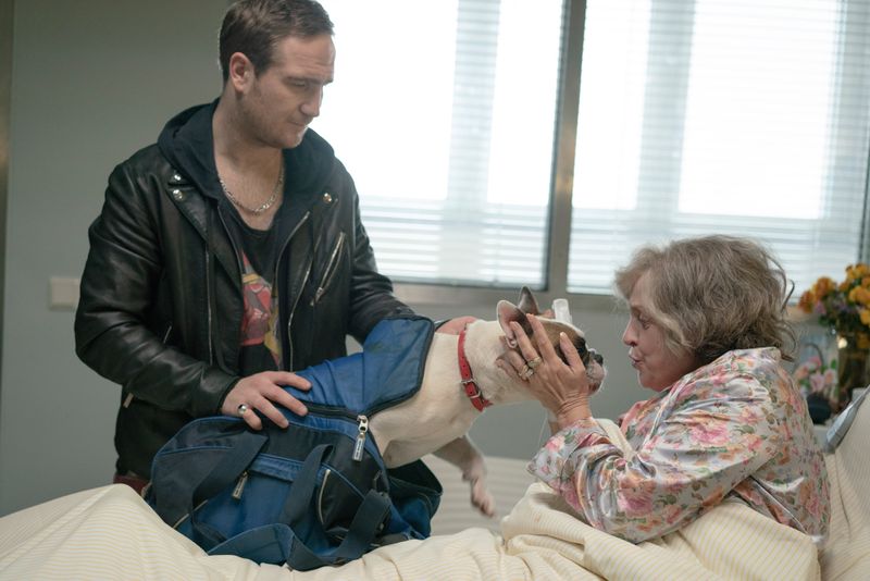 SWYRL Frauenfilm mit beliebten Vierbeinern