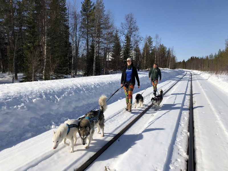 Julia und Sven (Archivbild von 2018) wollten in Schweden Huskys züchten.