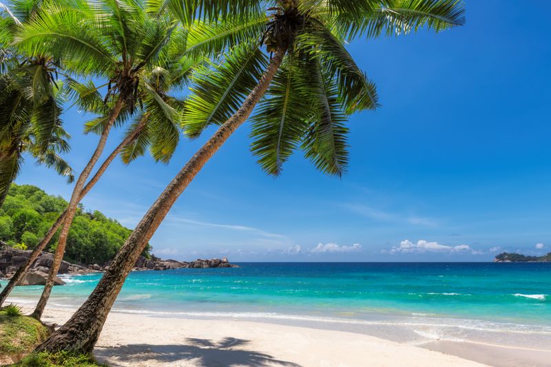 Idyllische Insel-Kulissen laden zum Träumen ein und nicht zum Fürchten. Doch bei den folgenden Inseln sollte man sich nicht von paradiesischen Stränden, Palmen und weißem Sand ablenken lassen. Denn hier lauern Gefahren - vor allem für den Menschen. So auch auf North Sentinel Island - eine Insel im Indischen Ozean, die sich aus gutem Grund vom Rest der Welt abgeschnitten hat ...