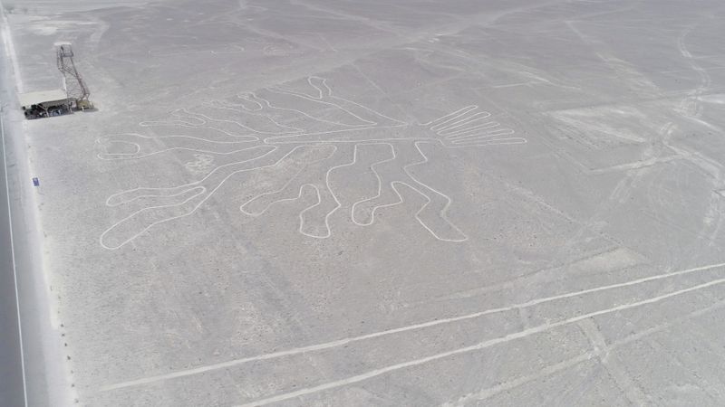 Mithilfe der NASA wollen die Forscher sämtliche Nazca-Scharrbilder kartografieren.
