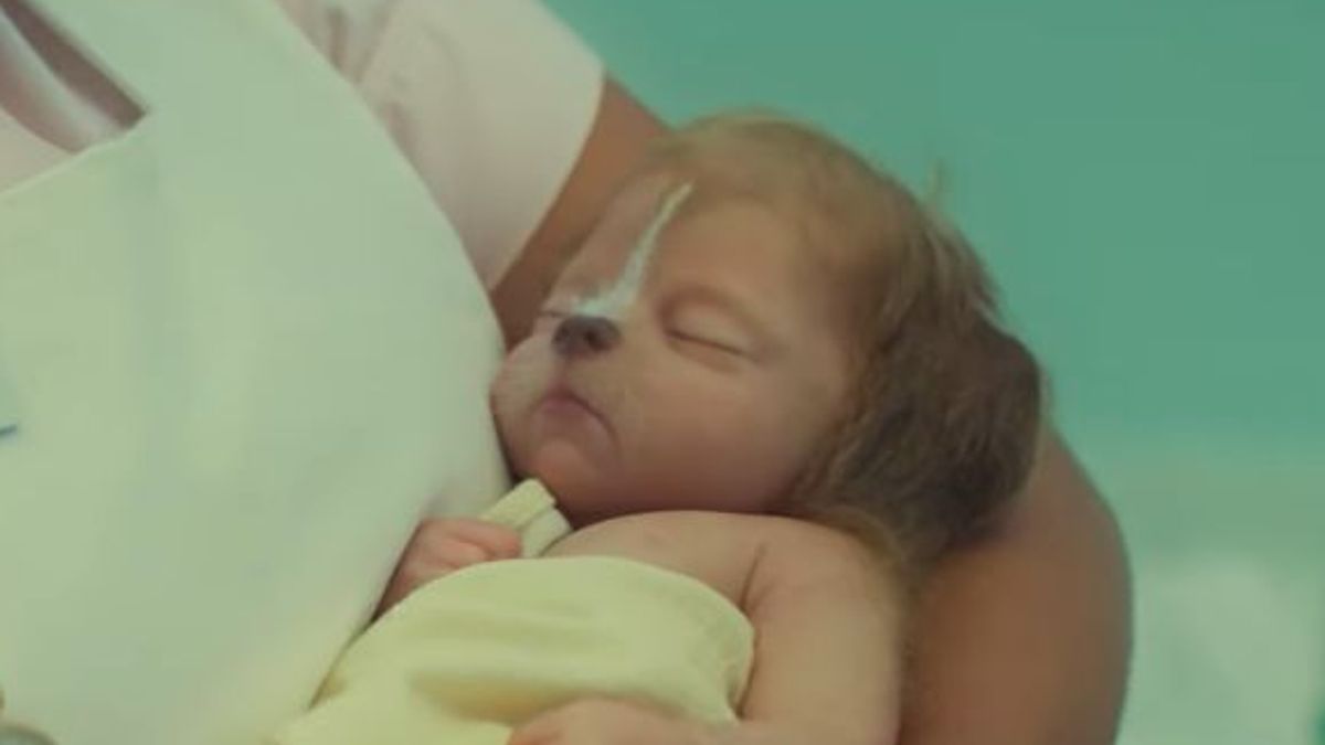 Swyrl Babys Die Aussehen Wie Hunde So Aussergewohnlich Ist Die Neue Dc Serie Von Netflix Swyrl Babys Die Aussehen Wie Hunde So Aussergewohnlich Ist Die Neue Dc Serie Von Netflix