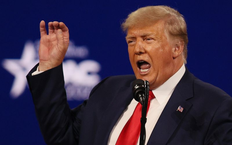 An den in jeder Hinsicht außergewöhnlichen US-Präsidenten Donald Trump wird man sich lange zurückerinnern. Eines seiner hervorstechendsten Merkmale wird dank eines Wissenschaftlers ohnehin nicht nur in die Geschichts-, sondern auch in die Biologiebücher eingehen. Welchen Prominenten die (manchmal auch zweifelhafte) Ehre zuteil wurde, dass eine Tierart nach ihnen benannt wurde, zeigt die Bildergalerie.