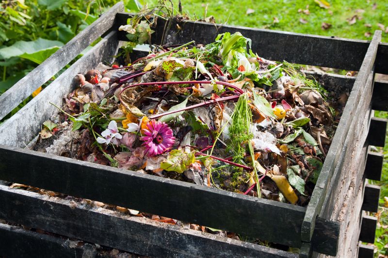 Wer einen Komposthaufen angelegt hat, lässt dort quasi von alleine hervorragenden DIY-Dünger entstehen. Doch auch ohne die kleine Recyclinganlage im Garten können Sie ohne großen Aufwand biologische Abfälle in Pflanzendünger umwandeln.
