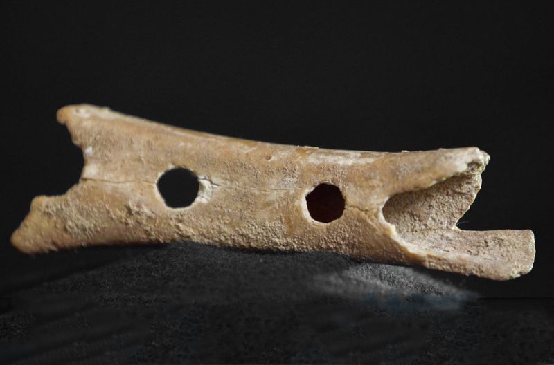 Perforierte Tierknochen eigneten sich ideal als Musikinstrument.
