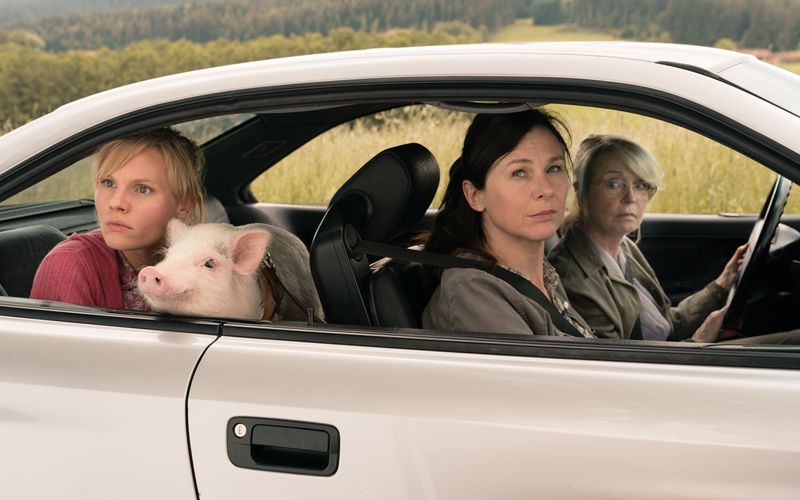 Die "Highspeed Girls" gemeinsam mit Schweinchen Paul auf Achse, von links: Rosalie Thomass, Bettina Mittendorfer und Gisela Schneeberger.