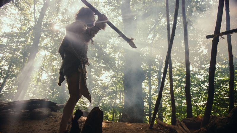 Die "Steinzeit-Diät", wie sie auch bezeichnet wird, zielt nicht darauf ab, den Menschen von heute aus der wärmegedämmten Wohnung und dem Supermarkt in eine Höhle im Wald zu verbannen, um dort sein Essen zu jagen und sammeln. Die Idee ist, aus dem modernen Nahrungsangebot auszuwählen, was der mutmaßlichen (völlig rekonstruieren lässt sie sich nicht) Ernährungsweise in der Altsteinzeit entspricht.