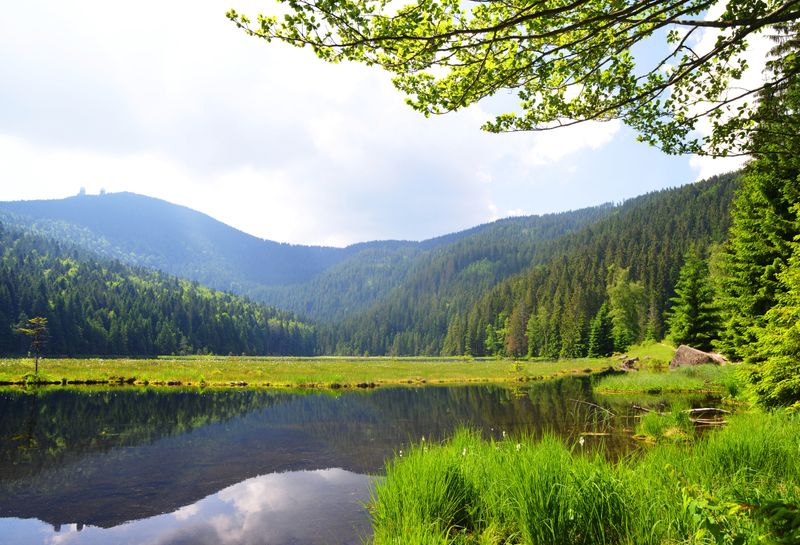 Ein berühmter Nationalpark Deutschlands ist der Bayerische Wald. Das Gebiet verläuft an der tschechischen Grenze und streckt sich auf 24.250 Hektar. Hier leben rund 40 Wildtiere und Vogelarten, die man auf ausgeschilderten Wander- und Radwegen bestaunen kann. Das Gebiet ist von rauschenden Bächen, natürlichen Bergseen, urigen Berghütten und Berggipfeln wie zum Beispiel dem Großen Arber geprägt. 