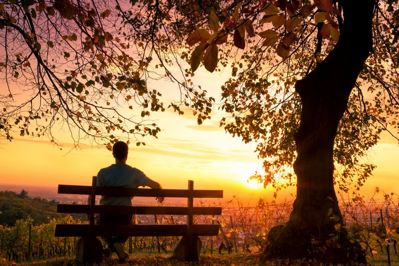 Sitzen, schauen, sein. Mehr Aufwand kostet es nicht, Leistungsfähigkeit und Einfallsreichtum zu fördern, gleichzeitig Entspannung herbeizuführen und die Stimmung zu heben - so die Idee beim "Niksen". Wenn das so ist, warum sollte man dieses niederländische Lifestyle-Programm nicht einfach mal ausprobieren?