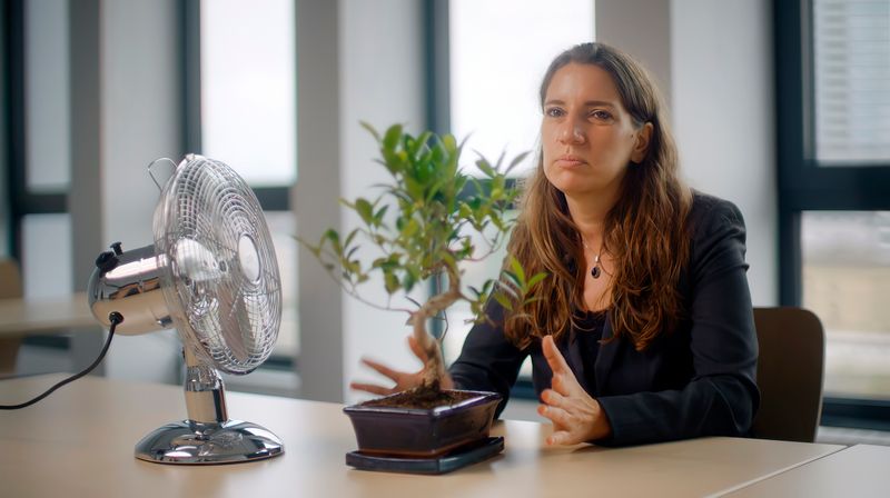 Anhand eines Bonsaibaums und eines Ventilators lässt sich laut Psychologin Isabella Helmreich gut demonstrieren, wie unterschiedlich Menschen auf Herausforderungen reagieren.

