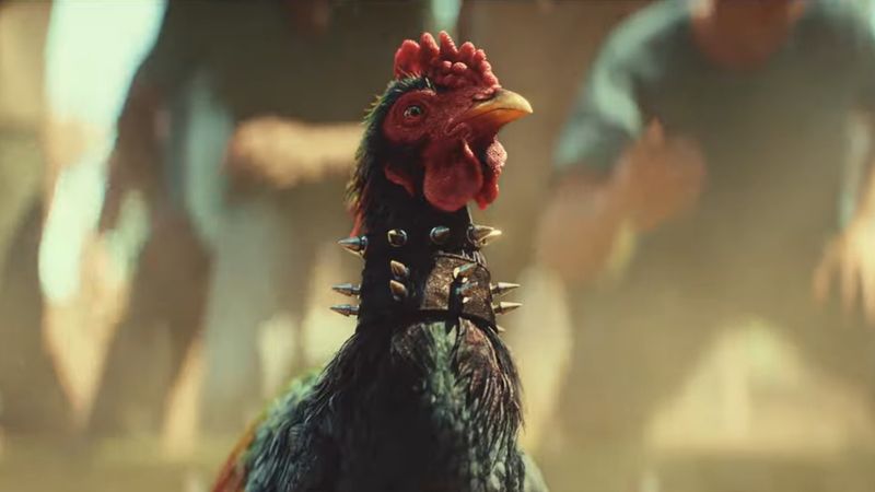 Die Hahnenkämpfe von "Far Cry 6" rufen die Tierschützer von PETA auf den Plan.