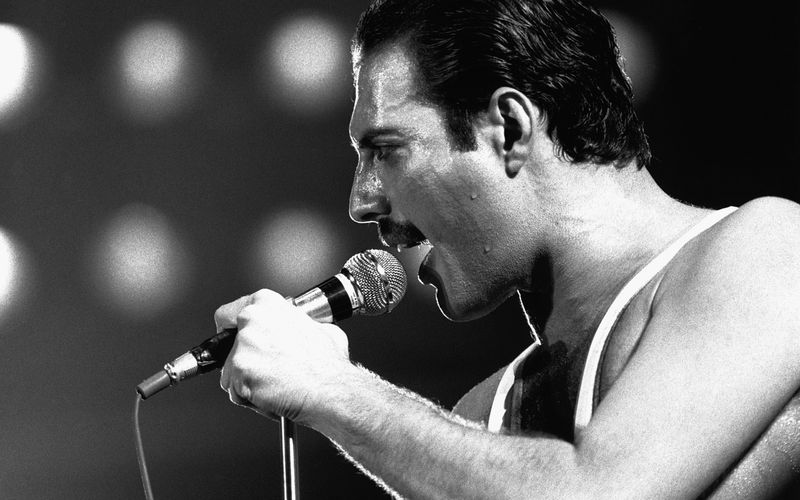 Es hatte bereits einige Spekulationen zu seinem Gesundheitszustand gegeben, doch Freddie Mercury informierte die Öffentlichkeit erst spät über seine AIDS-Erkrankung. Nur einen Tag später starb der legendäre Queen-Frontmann, dessen Tod inzwischen 30 Jahre zurückliegt. Die Galerie erinnert an Mercury und weitere Popstars, die auf tragische Weise aus dem Leben schieden.