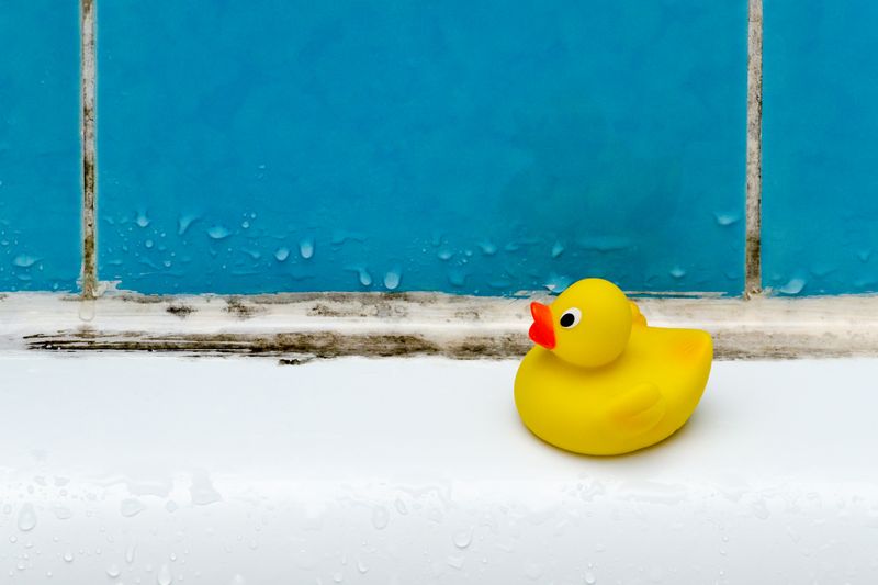 Hauptverursacher von Schimmel in der Wohnung ist meist Feuchtigkeit. So können Wasserschäden, Wärmebrücken durch baulichen Mangel oder eine falsche Dämmung zu viel Feuchtigkeit in Räumen bewirken und Schimmel bilden. Wenn Feuchtigkeit dauerhaft im Raum bleibt, wie es oft in Küche, Bad oder Schlafzimmer der Fall ist, entwickelt sich Schimmel noch schneller. 
