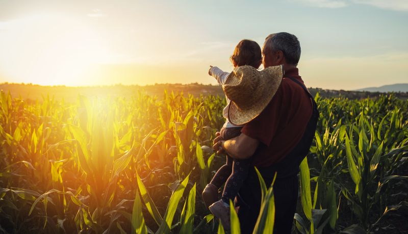 Die internationale Natur- und Umweltschutzorganisation WWF zeigt im Bericht "So schmeckt Zukunft" (2021), wie eine klimawirksame Ernährungswende mit mehr Nachhaltigkeit und weniger tierischen Produkten funktionieren kann. Denn Produktion, Lieferung, Konsum sowie vor allem auch die Verschwendung von Lebensmitteln beeinflussen maßgeblich das Klima und auch unsere Gesundheit. 