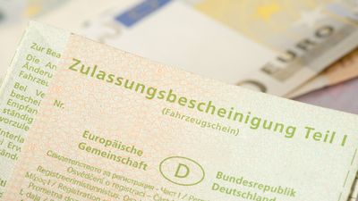 Bild zu Artikel Digitaler Fahrzeugschein