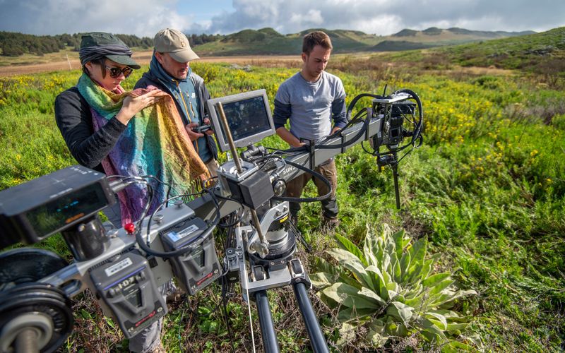 Die neue Folge der Dokumentationsreihe "Terra X: Unser grüner Planet" zeigt das Leben der Pflanzen und Tiere in unseren Zivilisationen (von links): Elisabeth Oakham, Stuart Dunn, Oliver Mueller.