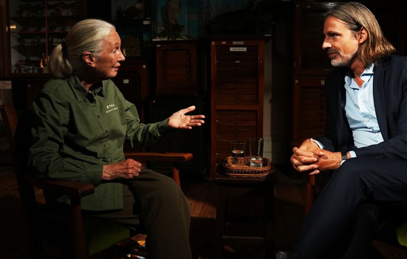 Zum Zehn-Jahre-Jubiläum seiner Sendung "Precht" erfüllte sich Gastgeber Richard David Precht einen lang gehegten Wunsch: Er besuchte die legendäre britische Verhaltensforscherin und Schimpansen-Beobachterin Jane Goodall, eine Ikone der Umweltbewegung. 