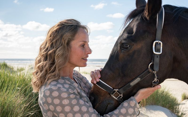 Lara Joy Körner tritt in der 41. Folge der ZDF-Sommerreihe als Antonia Hofmaier auf. "Ein Sommer auf Langeoog" überzeugt mit atemberaubenden Landschaftsaufnahmen von der  Nordseeinsel. Als begabte Reiterin schafft sie es als einzige auf dem Binderhof, sich einem traumatisierten Pferd zu nähern.