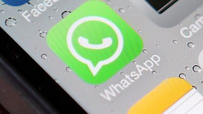 Bild zu Artikel Das App-Icon von WhatsApp