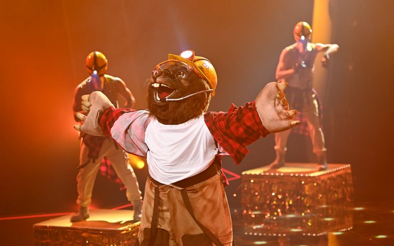 Ein verirrter Maulwurf (eigentlich wollte sich der Wühler zu "The Voice" buddeln) ist der strahlende Sieger der siebten Staffel von "The Masked Singer". Wer steckte im Kostüm? 