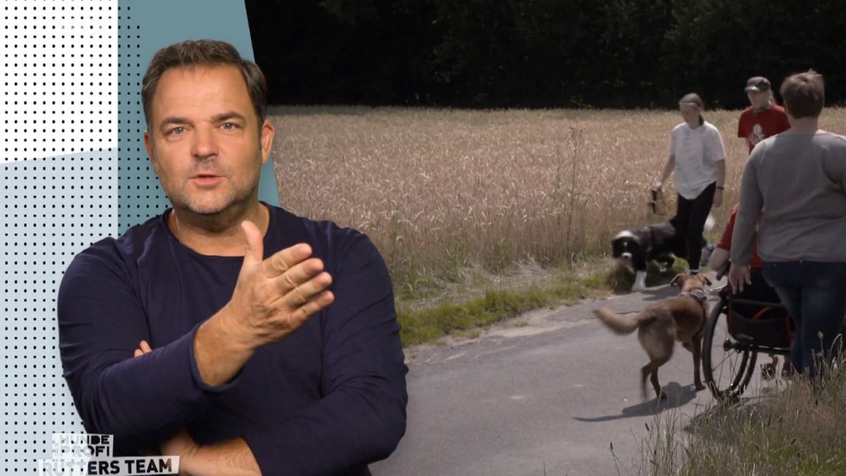 "Das ist dramatisch!": Martin Rütter sieht Herrchen von Rüde Leon in ... - 636e1b0e565a1920033e852c 1200 16 9