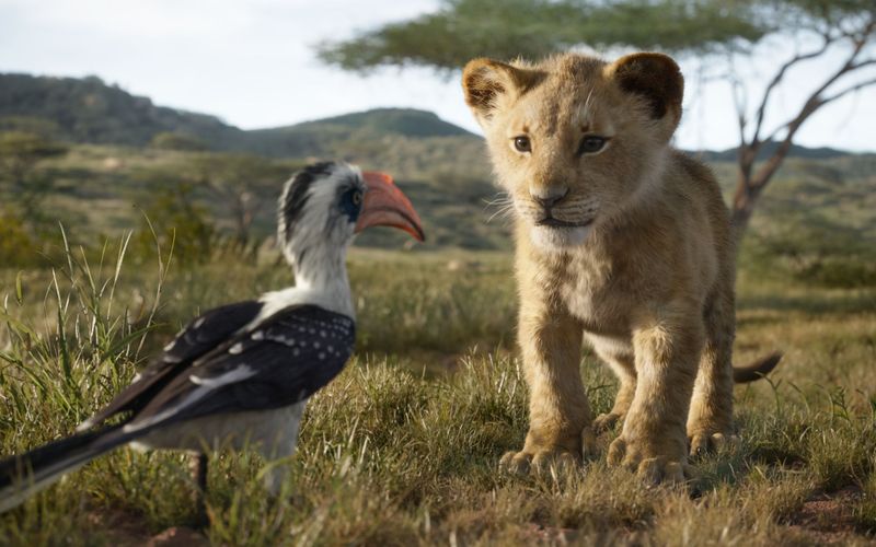 2019 meldete sich der "König der Löwen" eindrucksvoll zurück - diesmal in einem Realfilm. Doch nicht nur Simba, Nala und Mufasa wurden zu "echten" Charakteren, auch andere legendäre Trickfiguren wechselten in den letzten Jahren ihre filmische Textur. Zur Ausstrahlung von "Der König der Löwen am 20. August, 20:15 Uhr auf Kabel Eins zeigt die Galerie die bekanntesten Beispiele der Filmgeschichte.