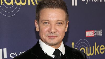 Bild zu Artikel Jeremy Renner