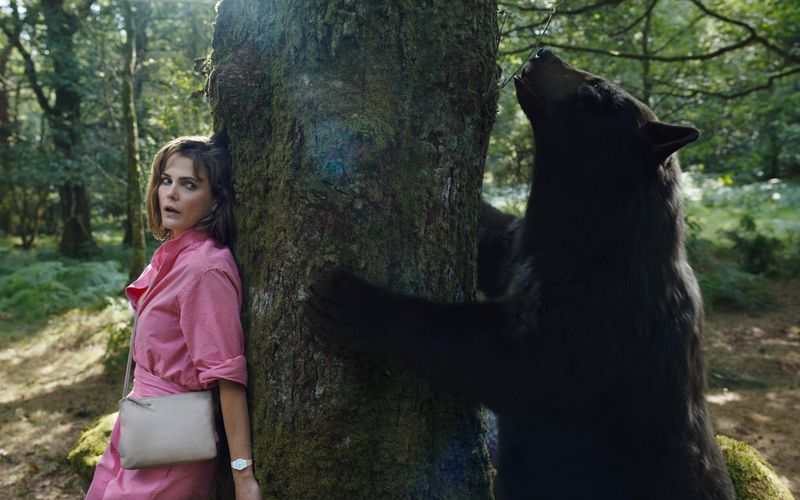 Neben dem Hai und dem Wolf gehört der Bär zu den beliebtesten Monstern des Horrorgenres. Zum Ärger von Zoologen, die das ungünstige Licht beklagen, in die Filmemacher das Tier gerne rücken. Für die ist der Bär aber nicht nur ein Tier, sondern vor allem ein Raubtier und daher durchaus Horror-tauglich. So wie der Schwarzbär in der Horrorkomödie "Cocaine Bear" (8. Mai, 22.05 Uhr, Pro Sieben), der auf Drogen einem Blutrausch erliegt. Wir zeigen weitere kultige Vertreter des Tierhorror-Genres. 