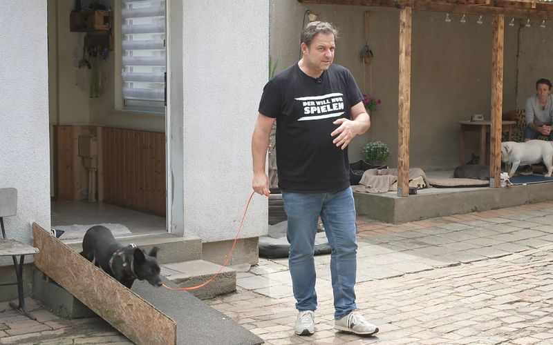 Hundeprofi Martin Rütter geht ein paar Schritte mit der schüchternen Chantal.