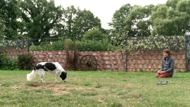 "Solche Hunde bleiben oft auf der Strecke", macht sich Martin Rütter keine Illusionen über das Schicksal des dreibeinigen Matze: "Den Anblick muss man erstmal aushalten und auch vor fremden Blicken keine Angst haben."