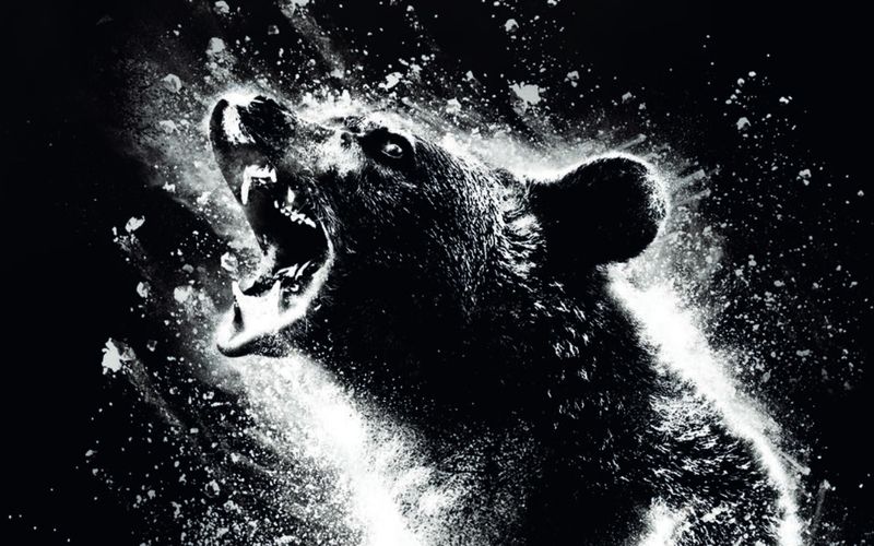 "Cocaine Bear" erzählt von einem Bären, der im Koks-Rausch zur blutrünstigen Bestie wird.