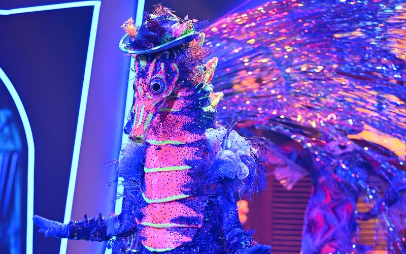 Das Seepferdchen musste in der vierten Folge von "The Masked Singer" (ProSieben) seine Maske fallen lassen.
