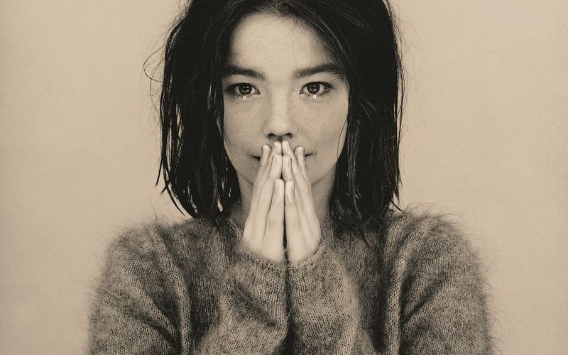 Björk in ihrer "Debut"-Phase, 1993. An Ausstrahlung mangelte es ihr schon damals nicht, ihr Auftreten war aber noch recht natürlich und ungekünstelt. Kein Vergleich zu den schrill-schrägen Outfits, in die sie in späteren Jahren immer wieder schlüpfte.