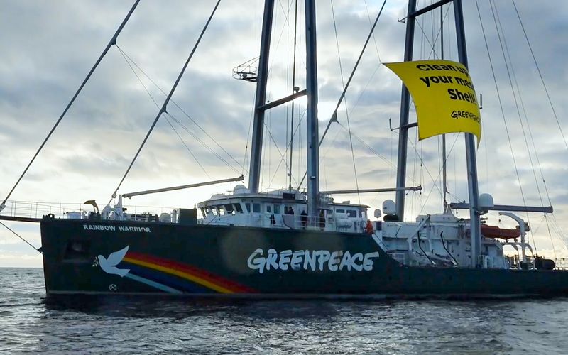 Die Aktivisten von Greenpeace setzen sich unermüdlich für eine bessere Zukunft ein.
