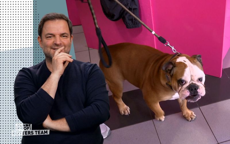 Martin Rütter macht sich keine Illusionen über den Trainingsfortschritt bei Bulddogge Sheila.
