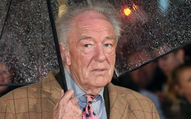 Schauspieler Michael Gambon ist im Alter von 82 Jahren gestorben. 